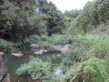 Canal-Bruniquel 01
