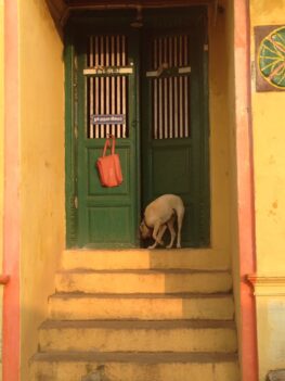 Chettinad - 046