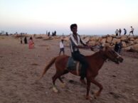 Tranquebar 2015 - 097